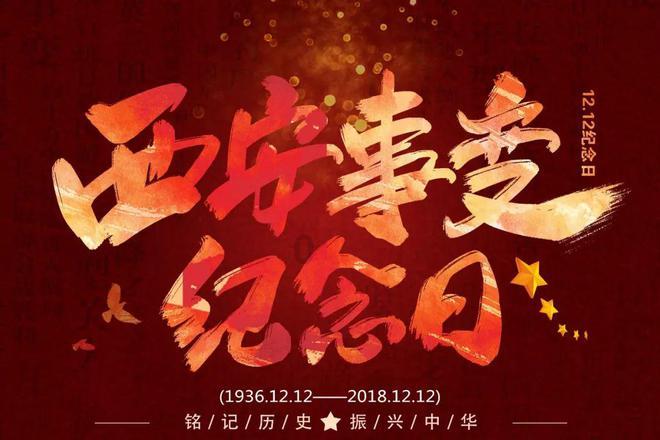 组装机械机甲暴龙2